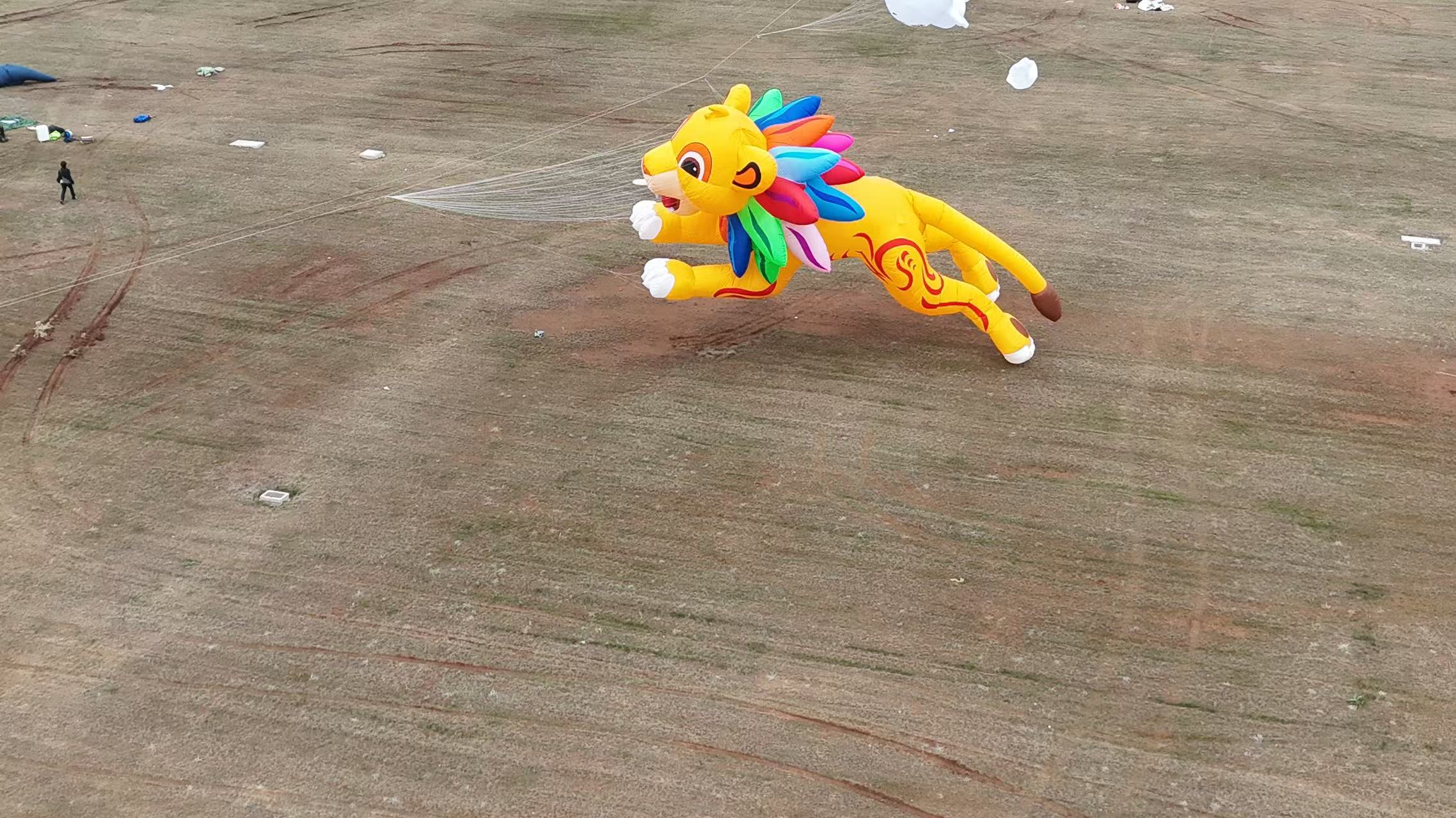 常州市品牌风筝定制风筝制作 - 排名