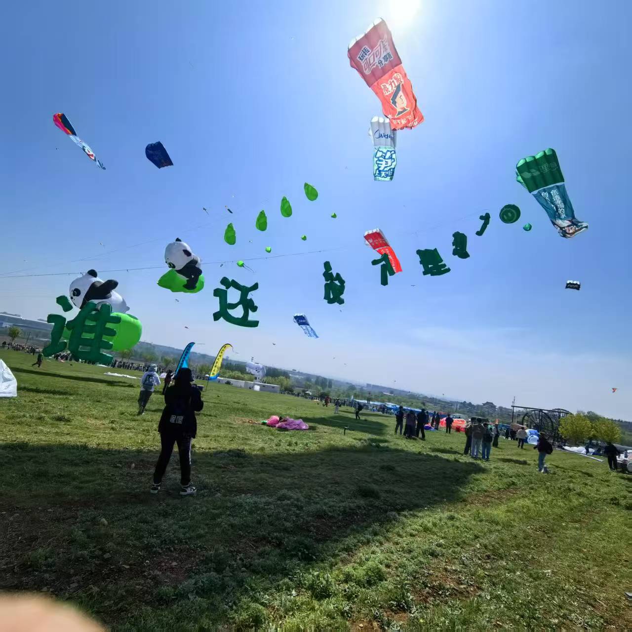 常州市风筝定制风筝定制 - 厂家